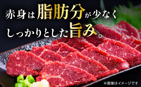 こだわりの馬刺し 食べ比べ ブロック 計約300g 馬刺し醤油付き（赤身約150g×1ブロック，霜降り150g×1ブロック） 【フードサービス むらかみ】[ZFE003]