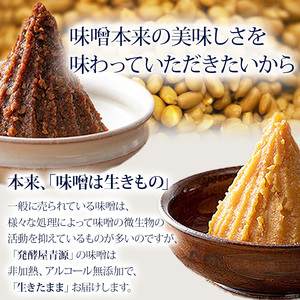 【定期便3回】特撰糀味噌 500g  | 栃木県 下野市