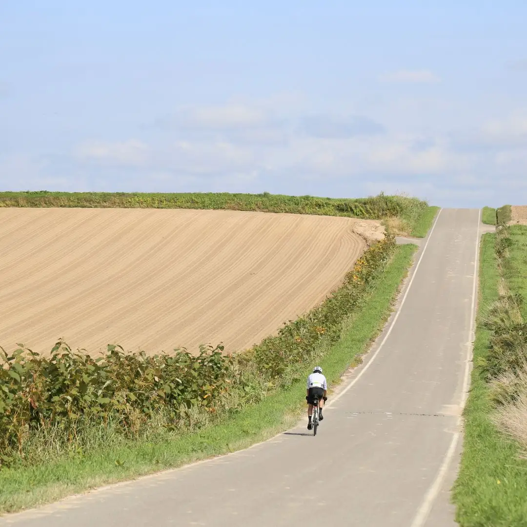 「丘のまちびえいファンライド」出走権【ショートコース 約23km】 | 北海道 スポーツ 自転車 バイク スポーツ イベント おすすめ 宿泊 旅行 観光