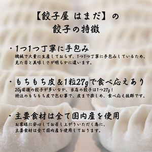 餃子 手包み生姜餃子 Sパック 12個入り 餃子屋はまだ