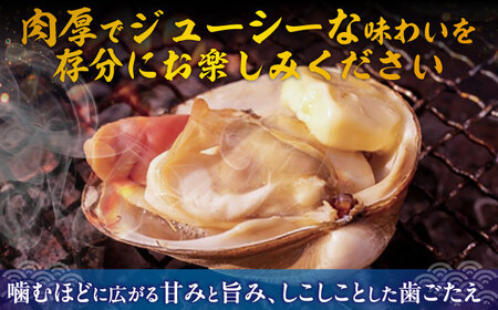 【2026年7月中旬以降順次発送再開】活ほっき貝 2kg 約6～12個 ホッキ [AXAL005]