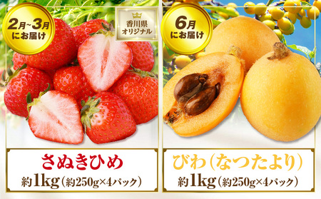 さぬき旬のフルーツお楽しみ 4回定期便 | 果物 フルーツ 青果 青果物 いちご びわ みかん シャインマスカット さぬきひめ 小原紅早生みかん マスカット なつたより 旬の果物 季節の果物 贈答 贈り物 ギフト 化粧箱 取り寄せ 香川県 三木町 送料無料 |_mk006-t015