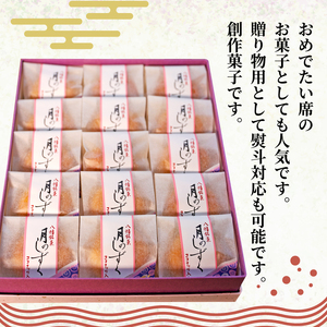 ココナッツの和菓子 10個入 珈琲や紅茶と一緒に ココナッツ