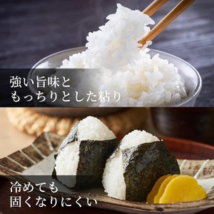 Y985 因幡の白兎米 コシヒカリ 令和8年産 精米済 20kg（5kg×4袋）