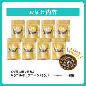 minori pizzaがお届けする【ピザ屋の畑で採れたカラフルポップコーン】　8袋入り 時短調理 スピード調理 簡単 パーティー おやつ お菓子 菓子 しょっぱい 甘い ヘルシー 手軽 ポップコーン アレンジ 北海道 清水町_S032-0017