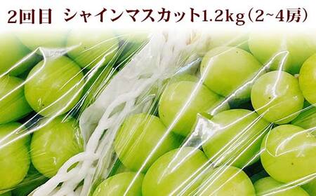 【2026年先行予約】山形旬果便 ～秋冬～ 白桃 シャインマスカット ラ・フランス サンふじりんご FSY-2544