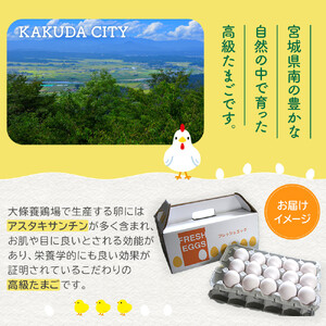 おおえだファーム アスタキサンチン たまご（白）Lサイズ 30個入り｜たまご