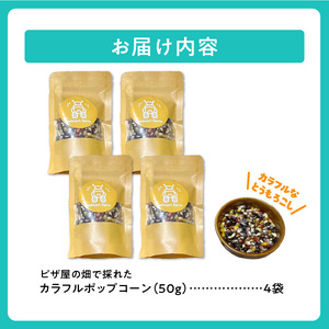minori pizzaがお届けする【ピザ屋の畑で採れたカラフルポップコーン】　4袋入り 時短調理 スピード調理 簡単 パーティー おやつ お菓子 菓子 しょっぱい 甘い ヘルシー 手軽 ポップコーン アレンジ 北海道 清水町_S032-0018