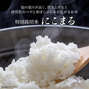 【予約受付】 四万十清流育ち！三浦さんの玄米 30kg（15kg×2） 菌の力で美味しさUP 特別栽培米 ／Fms-A19 玄米 にこまる 特別栽培米 米 お米