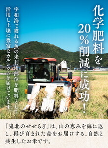 【先行予約】【R8年産】【自然環境米】鬼北のせせらぎ（コシヒカリ）5kg×2 ｜ お米 お米不足 お米品薄 おいしい お米 事業者支援 送料無料 白米 精米 国産 限定 ごはん ご飯 白飯 ゴハン 愛媛県産 鬼北町 ※2026年9月～発送