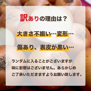 訳あり もみじ玉ねぎ 約10kg 【7月上旬頃～11月下旬頃発送予定】 | 玉ねぎ 松山市 【VEG056】