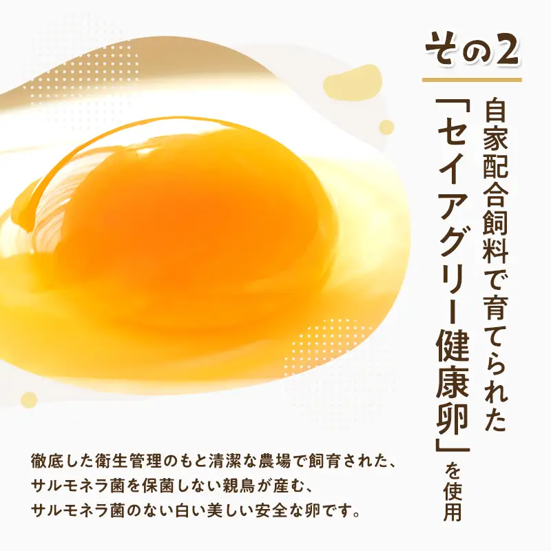 調味料 超濃厚 たまごのマヨネーズ My name is MAYO 250g 2本
