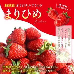 まりひめイチゴ4パック 食べやすいひと口サイズ M～L（15粒～20粒入×4パック）【2027年1月中旬～3月下旬頃に順次発送】【先行販売】いちご イチゴ 苺 まりひめ 果物 フルーツ 甘い 人気 おすすめ【BK-kgr034】