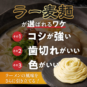 ラー麦麺の豚骨ラーメン5食_ラー麦麺 豚骨ラーメン 5食 こだわり 生麺 とんこつ ラーメン スープ 麺 コシ 強い 歯切れ 色 細麺 茹で時間 1分ほど 豚骨スープ ねぎ チャーシュー トッピング お取り寄せ 福岡県 久留米市 送料無料 〔Br039〕