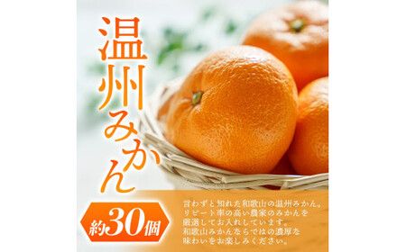 【先行予約】 道の駅くしがきの里セット 富有柿3個・温州みかん約30個の詰め合わせ こだわり農家厳選  【2026年11月上旬～12月中旬頃順次発送】/ みかん 温州みかん 柿 富有柿 かき 詰め合わせ 果物詰め合わせ 果物 フルーツ おやつ【kgr022】