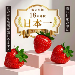 【1月上旬以降順次発送予定】博多あまおう 計約560g｜ONE GO あまおう as45-001