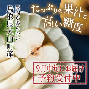 DS-04　秋甘泉梨（５ｋｇ）
