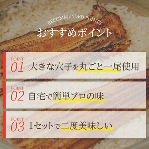 ごちそう穴子めし【2合セット】+出汁茶漬け付 | AN010