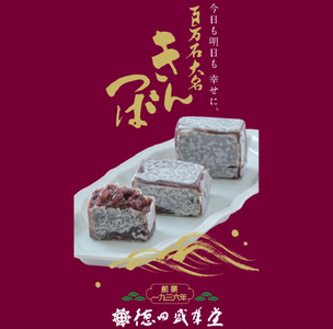 百万石大名きんつば 10個入箱  きんつば 石川県 小松市 北陸 石川県 小松市 北陸