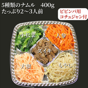 韓国 家庭料理 ナムル 5種類(800ｇ)と ビビンバ コチュジャン (100g) 4～5人分セット 