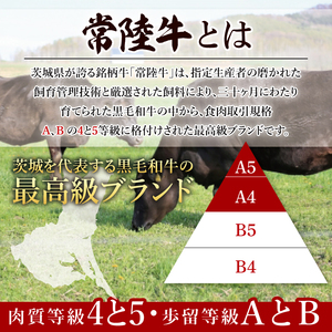 【茨城県共通返礼品】常陸牛 丸ごと１頭分 約440kg（BG-30）