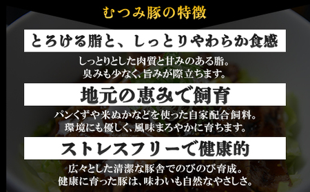 道の駅萩往還人気レストラン／「玄」の豚丼 2人前×3袋