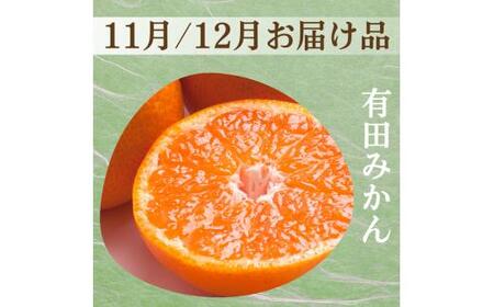 柑橘 定期便 SS【全3回】家庭用【 和歌山県 有田 】 ※北海道・沖縄・離島への配送不可 / 定期便 フルーツ ゆら早生みかん 有田みかん 3回 【ikd050-ss-c】