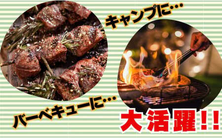 米沢牛 田中屋特製 人気のブランド和牛 牛串 10本 【冷凍便】 - ブランド牛 国産 和牛 黒毛和牛 串焼き 串 牛肉 バーベキュー BBQ 山形県 飯豊町