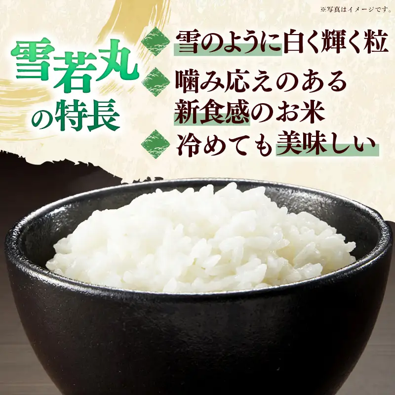 飯豊町産 雪若丸 白米 10kg (R7年産） - 数量限定 おこめ 米 ごはん 旨味 弾力 ゆきわかまる 単一米 銘柄 ブランド米 おすすめ 送料無料 マルシチ米穀 山形県 飯豊町【価格改定XA】