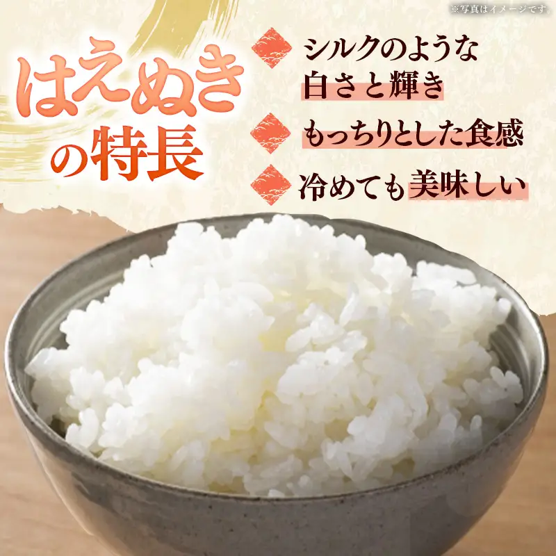 飯豊町産 はえぬき 白米 10kg (R7年産） - 数量限定 おこめ 米 ごはん もっちり 粒ぞろい 粘り 単一米 銘柄 ブランド米 おすすめ 送料無料 マルシチ米穀 山形県 飯豊町【価格改定XA】