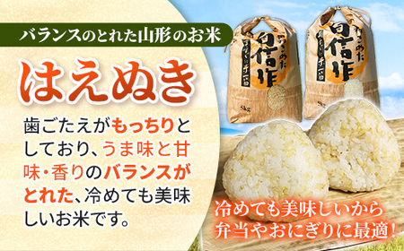 人気のブランド米 はえぬき 白米 10kg 令和7年産 - 山形県 飯豊町産 米 精米 銘柄 ブランド米 田園サービスいいで【価格改定X】