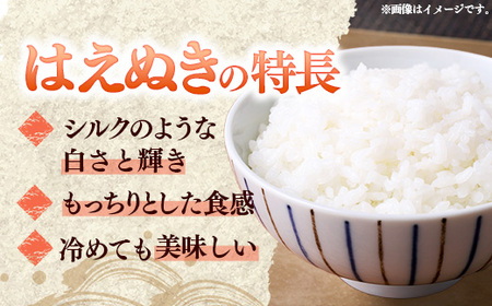マイスターがつくる はえぬき 白米 10kg 令和7年産 - 山形県 飯豊町産 米 精米 銘柄 ブランド米 林七【価格改定】