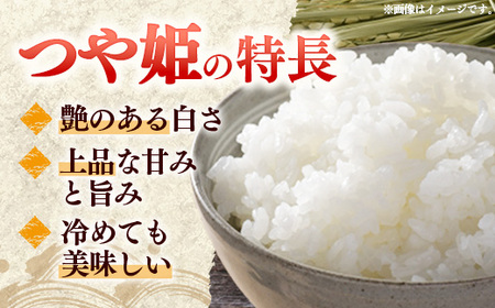 マイスターがつくる つや姫 白米 10kg 令和7年産 - 山形県 飯豊町産 米 精米 銘柄 ブランド米 林七【価格改定】