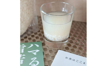 飯豊の生あまさけ 600g 4本セット【冷凍発送】 - 甘酒 米麹 砂糖不使用 ノンアルコール ノンシュガー あまざけ 発酵食品 栄養豊富 菌が生きてる 非加熱 腸活 おすすめ 送料無料 マルシチ米穀 山形県 飯豊町