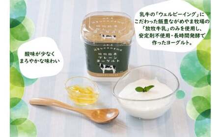 放牧酪農牛乳とヨーグルト詰め合わせ - パスチャライズド牛乳 プレーン 加糖 食べ比べ 乳製品 飲料 おすすめ 送料無料 山形県 飯豊町 飯豊ながめやま牧場