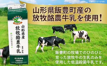 飯豊町産「放牧酪農牛乳」使用　牛乳ぷりん 10パック - プリン デザート おやつ 洋菓子 スイーツ おすすめ 送料無料 山形県 飯豊町