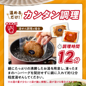 ハンバーグ食べ比べ20個セット_4種 20個 チーズデミ 和風 トマトソース カレーソース ハンバーグ 各5個 冷凍 温めるだけ 湯煎 レンジ 電子レンジ バラエティ 個包装 小分け 食べ比べ お弁当 簡単調理 お取り寄せ お取り寄せグルメ 福岡県 久留米市 送料無料 〔Ax405〕