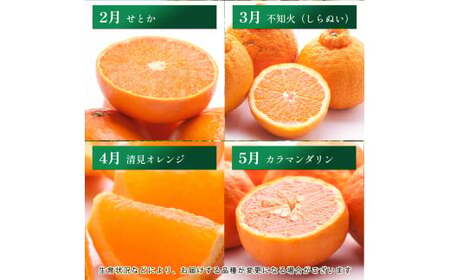 【1～3月】柑橘 定期便 S 家庭用【全3回】【和歌山】 ※北海道・沖縄・離島への配送不可 / 定期便 フルーツ はっさく せとか 不知火 清見オレンジ カラマンダリン みかんゼリー ハウスみかん ゆら早生 有田みかん 12回 //teiki【ikd050-s13-c】