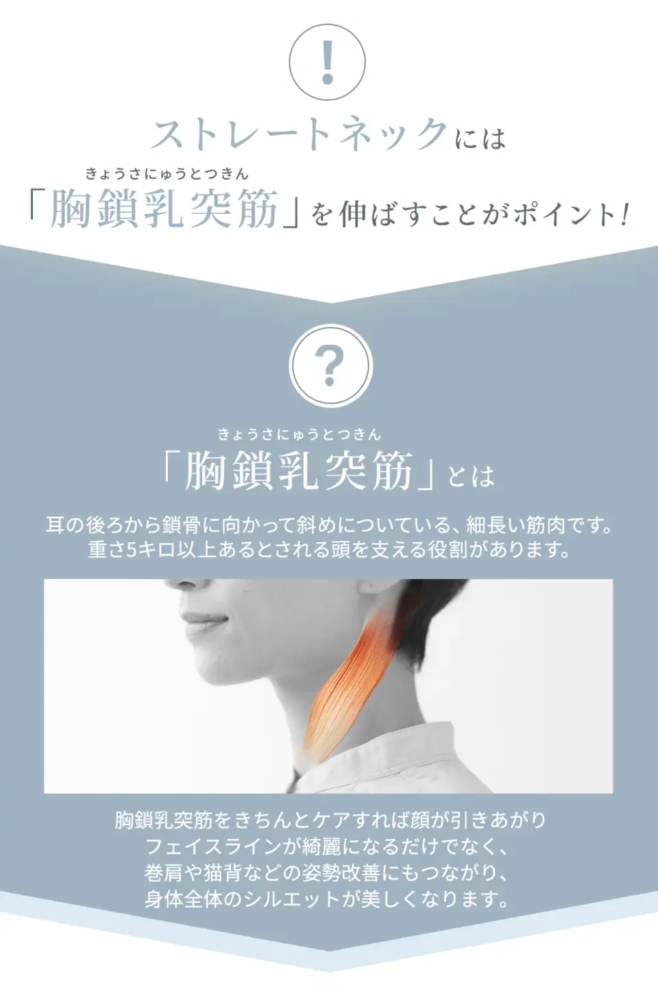 MyComfort ネックピロー 1個 ~ストレッチモデル~ ライトベージュ