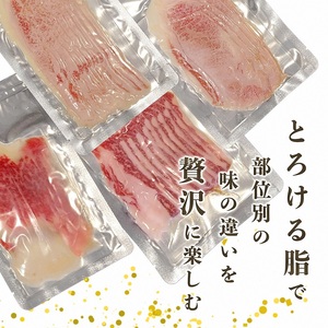 生ハム 亀岡牛生ハム 200g（50g×4パック）