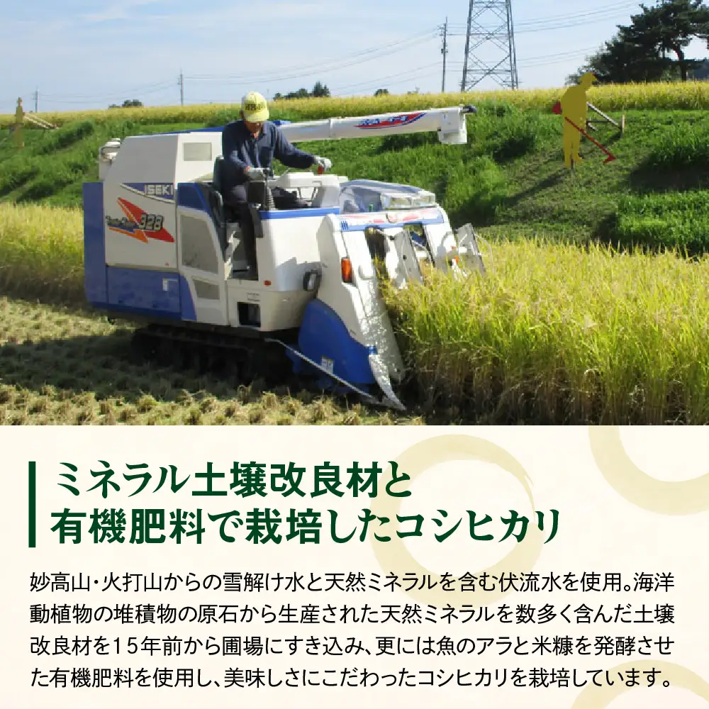 令和7年産　有機肥料を使用したミネラル米肝太くん家のコシヒカリ5kg