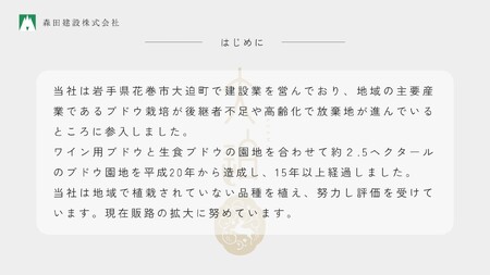 「早池峰の恵み」モリタワイン　ツヴァイゲルト・レーベ 2016 ダム貯蔵・熟成ワイン 辛口 赤ワイン 【2196】