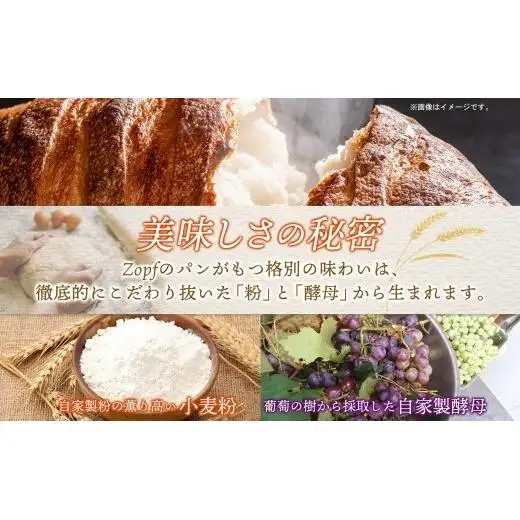 Zopf ツオップ ベーグル 詰め合わせセット パン 自家製酵母 酵母 全粒粉 パン職人 こだわり ハードパン ソフトパン 本格パン 菓子パン もちもち バゲット クロワッサン デニッシュ ブルーベリー 焼きたて 朝食 ランチ 贈り物 ギフト 千葉県 松戸市 