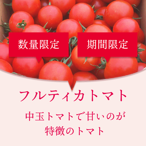片品村産 フルティカ （トマト）約2kg