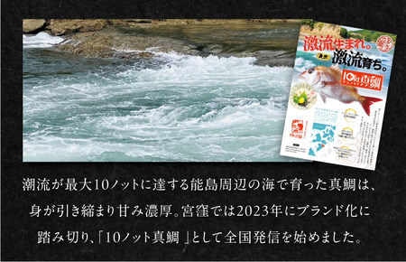 天然ブランド真鯛「10ノット真鯛」（ラウンド1.8kg前後1尾）【V002790】
