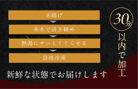 宮窪の漁師が獲った「釜揚げシラス」＜満腹セット600g（冷凍真空包装200g×3袋）＞【V002810SET3】