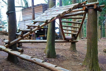 【ふるなび限定】アドベンチャーコース 参加券 (18歳以上) FN-Limited-SP｜フィールドアスレチック 大自然体験 遊具 ツリークロスアドベンチャー 本格的 ハード リラックス 滑空 非日常 爽快 都心から一番近い [0443]