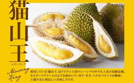 ドリアン ココナッツ アイスクリーム 100ml 6個 濃厚 ココナッツ ミルク