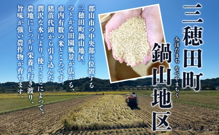 焼酎 美穂田 鍋山720ml 2本 セット 酒 お酒 アルコール 飲料 原酒 米焼酎 三穂田町 鍋山地区 食中酒 チヨニシキ 米麹 醸造 ロック お取り寄せ 贈答 晩酌 家飲み ギフト 常温 尚楠 福島県 郡山市