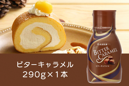 チョコレート・キャラメルソース 3本 セット 3種類 各1本 業務用 チョコレート キャラメル ソース 290g ビターキャラメル 300g キャラメルミルク580g まとめ買い 朝食 製菓 デザート 家庭用 茨城県 石岡市 G15-008